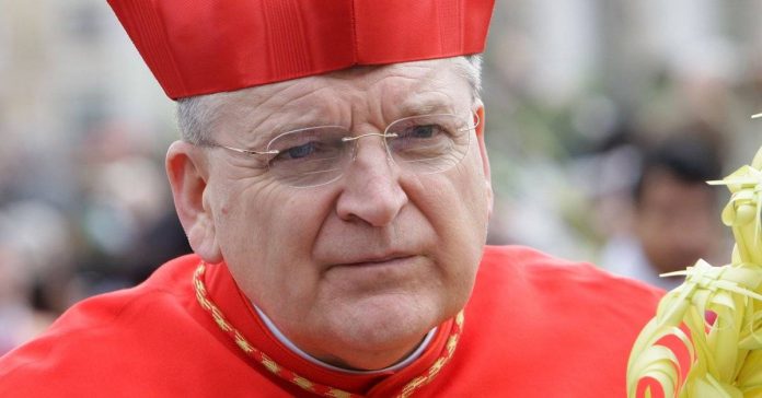 Pope Leads Palm Sunday Mass at St. Peter's Square